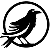 Iron Raven logo
