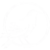 Iron Raven logo